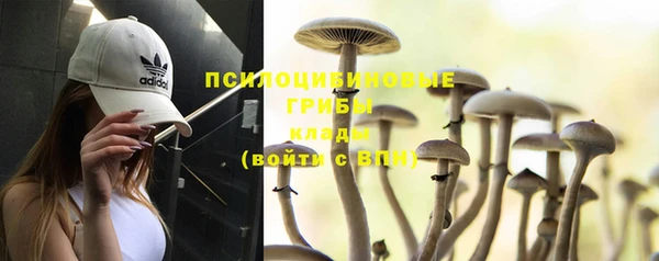 бутират Белокуриха