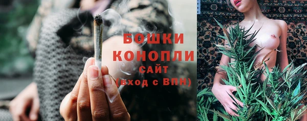 крисы Белоозёрский