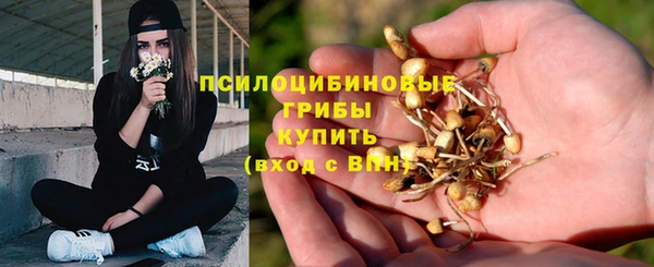 бутират Белокуриха