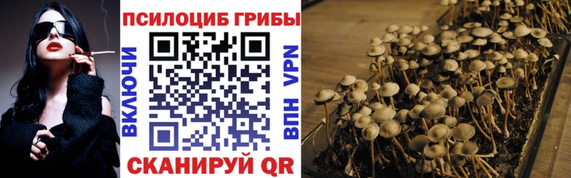 mega ONION  что такое   Казань  Галлюциногенные грибы Magic Shrooms 